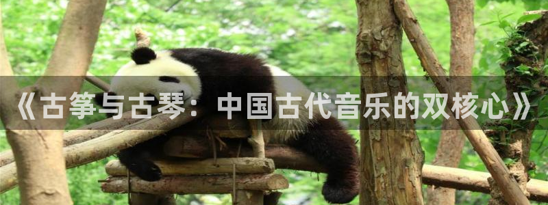 凯发k8娱乐是什么平台