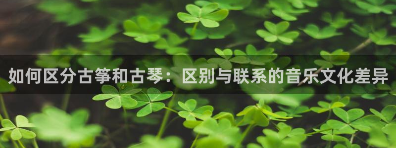 凯发网网站