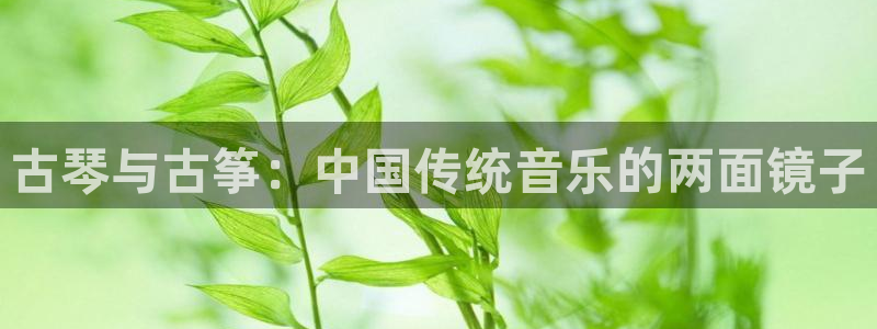 凯发国际怎么赚钱