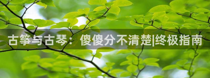 凯发k8旗舰厅手机app下载：古筝与古琴：傻傻分不清楚|终极