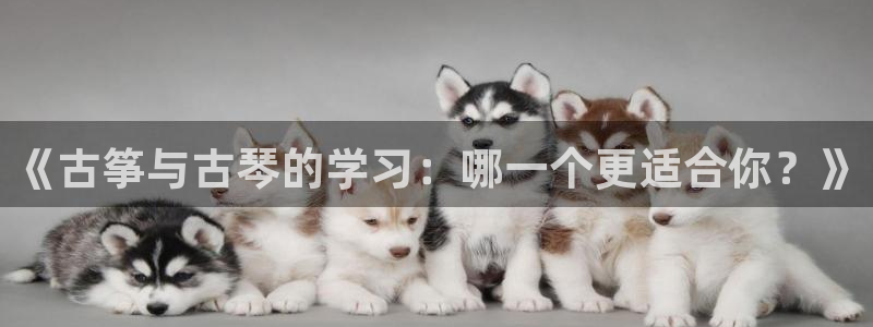 凯发k8娱乐官方版fxzls -安卓3.5：《古筝与古琴的学