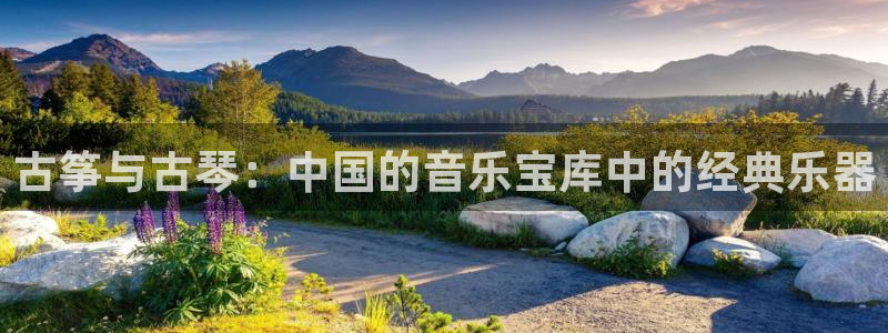 凯发k81111国际真人版：古筝与古琴：中国的音乐宝库中的经