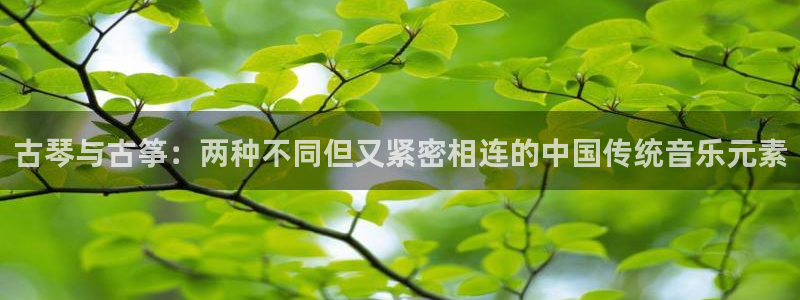 凯发k8娱乐平台能提现吗：古琴与古筝：两种不同但又紧密相连的