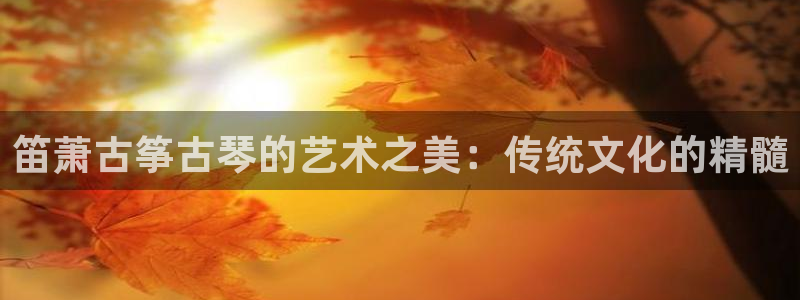 凯发k8娱乐欢迎您：笛萧古筝古琴的艺术之美：传统文化的精髓