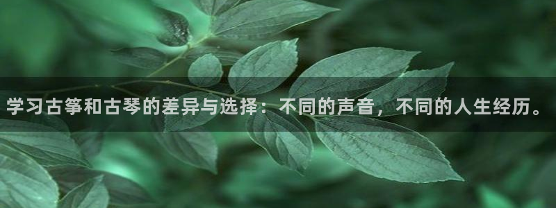 凯发国际网络平台网址