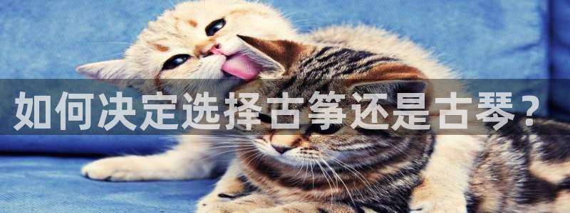 凯发k8娱乐旗舰：如何决定选择古筝还是古琴？