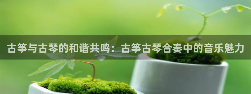凯发k8旗舰厅app下载可靠送38元是真的吗：古筝与古琴的和