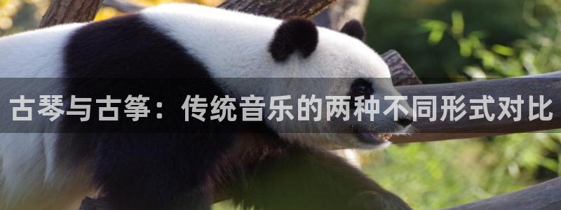 凯发k8国际真人版安全送38元：古琴与古筝：传统音乐的两种不