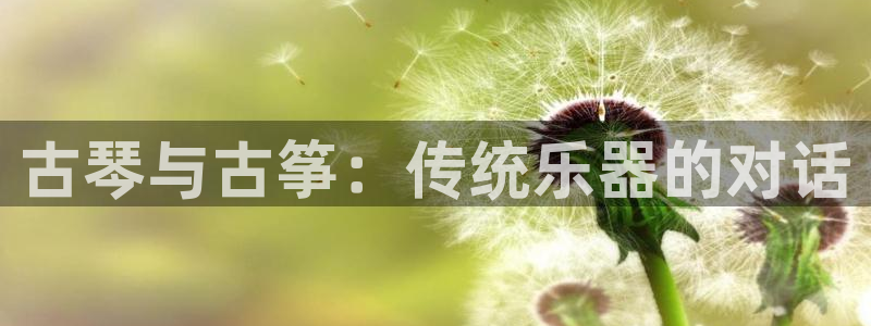 国际凯发k8真人版旗舰厅：古琴与古筝：传统乐器的对话