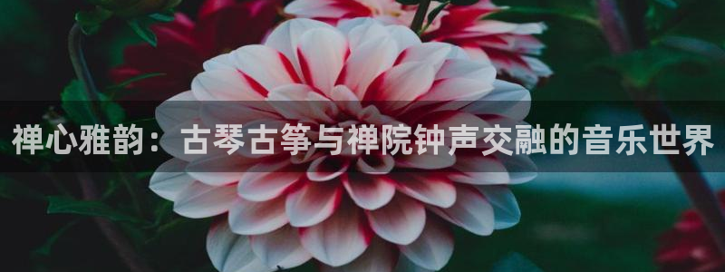 凯发正规网站