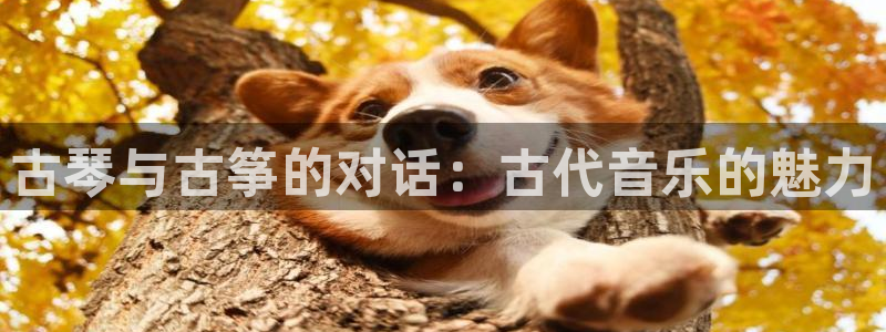凯发国际网站首页