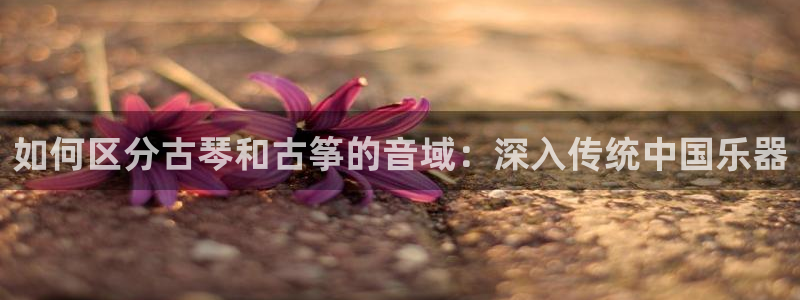 凯发k8娱乐官网手机端中心