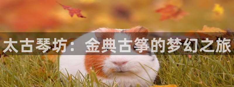 凯发手机官网客户端