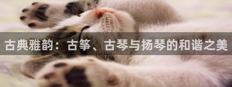 凯发官网网址多少