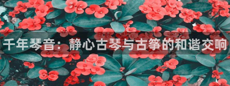 凯发k8娱乐真人旗舰厅客服