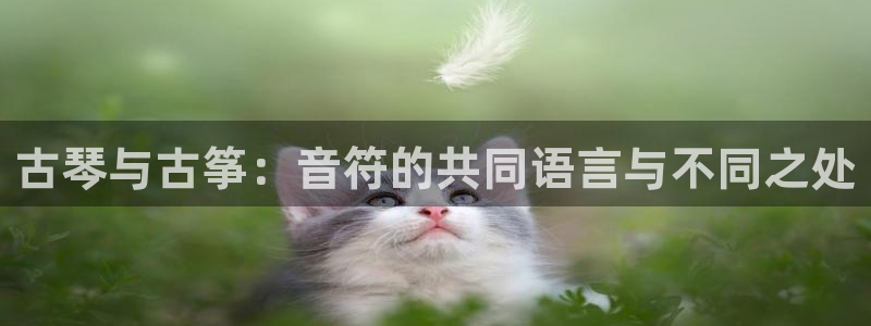 凯发k8官方网娱乐官方真