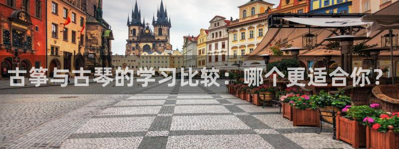 凯发k8国际注册：古筝与古琴的学习比较：哪个更适合你？