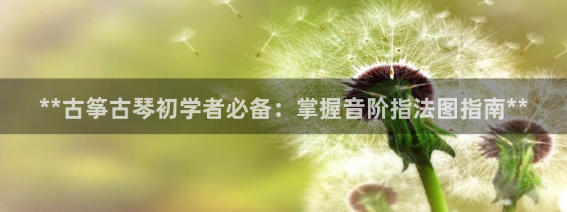凯发k8娱乐是哪个国家的：**古筝古琴初学者必备：掌握音阶指
