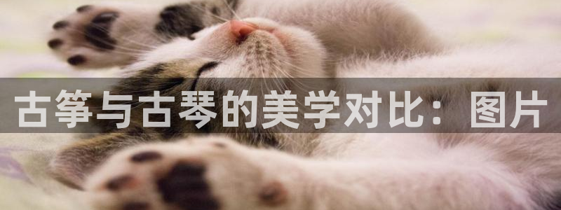 凯发k8国际真人版可靠送38元：古筝与古琴的美学对比：图片